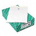 White Wove Clasp Envelopes - 10 x 13 (100/Box)