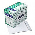 Business Weight Catalog Envelopes - 250/Box