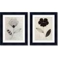 Design Show Champagne Supernova Framed Art Print Set