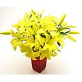 Bouquet of Yellow Lilies