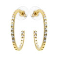 Goldtone Cubic Zirconia Hoop Earrings