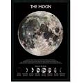 Outer Space 'The Moon' Framed Posterz