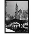 'Central Park Winter Scene' Framed PosterZ