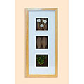Leaves and Reeds Shadow Box