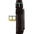 Brown Alligator 22mm Watch Strap with Extra Buckle