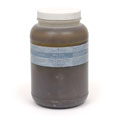 1 Gallon Container Silky Mint Foot Scrub