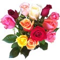 Simply Dozen Multicolored Roses