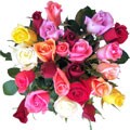 Simply Two Dozen Multicolored Roses