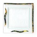 Fusion Nature's Color's Starter Plate (Case of 6)