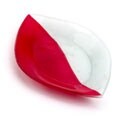 Fusion Mixtos Red Oval Pate (Case of 6)