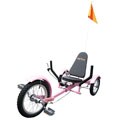 Triton Pink Bicycle