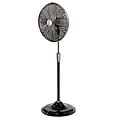 Hunter Satin Black Oscillating Stand Fan
