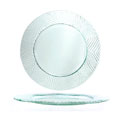 Fusion Frosted Glass Entree Plate with Textured Rim (Case of 6)
