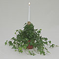 Ivy Single Candelabra in Plastic Terra Cotta