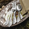 Spode Woodland 45-piece Flatware Set