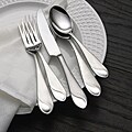 Pfaltzgraff Sand and Sea 45-piece Flatware Set