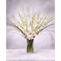Elegance White Tulips Bouquet