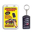 Keyless Entry System with Immobilizer