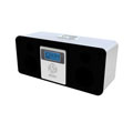 PylePro 100-Watt iPod Speaker System