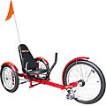 Triton Pro Three-wheeled 20-inch Cruiser Bicycle