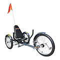 Triton Pro Three-wheeled 20-inch Cruiser Bicycle