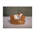 Limoges Hand-painted Sleeping Dog Keepsake Box