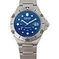 Swiss Army Dive Master 300 Men's Blue Dial Watch