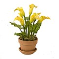 Potted Faux Yellow Calla Lillies