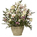 Trumpet Lilly Arrangement in Pale Pink
