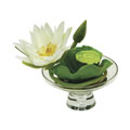 Faux White Lotus In Martini Vase