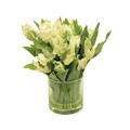 Faux Tulips In Glass Vase