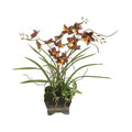 Faux Burgundy Butterfly Orchid In Square Pot