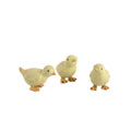 Baby Chicken Figurines (Set of 3)