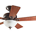 Hunter 44-inch Bronze Five-blade Ceiling Fan with Light