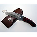 Hunting Knife with Gut Hook