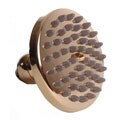 Ondine Brass Showerhead