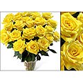 Bouquet of 24 Yellow Roses