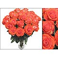 Bouquet of 24 Orange Roses