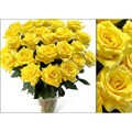 Bouquet of 50 Yellow Roses