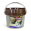 Big Dog Lunchbox Elevated Feeder