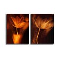 John Butler Bronze Tulip Stretched Canvas Art Set