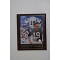Johnny Unitas Plaque