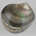 Mother of Pearl Shell Jewelry Box (Indonesia)