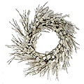 Lunaria Wreath