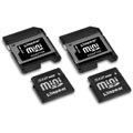 Kingston 512MB MiniSD Memory Card Kit (Case of 2)