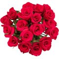 Simply Dozen Long Stem Red Roses (Case of 18)
