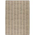 Tatami Flat Weave Area Rug (3'11 x 5'7)