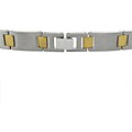 Titanium and Goldplated Link Bracelet