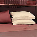Advance 400 Thread Count Pima Gusset Pillows (Set of 2)
