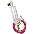 Fuel Injection Cleaner